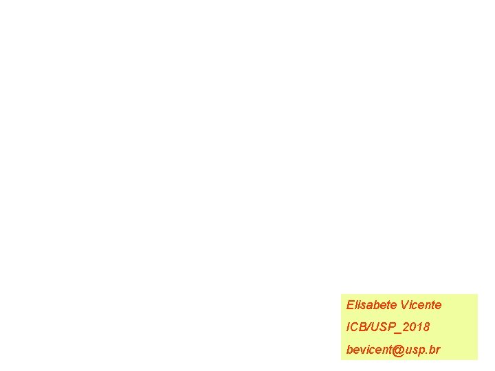 Elisabete Vicente ICB/USP_2018 bevicent@usp. br 