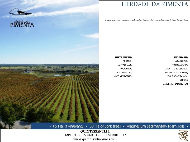 HERDADE DA PIMENTA Grapes grown in magnesium sedimentary loam soils, ranging from sandy-loam to