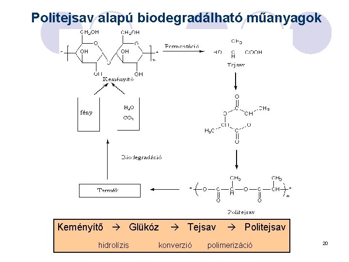 Politejsav alapú biodegradálható műanyagok Keményítő Glükóz Tejsav Politejsav hidrolízis konverzió polimerizáció 20 