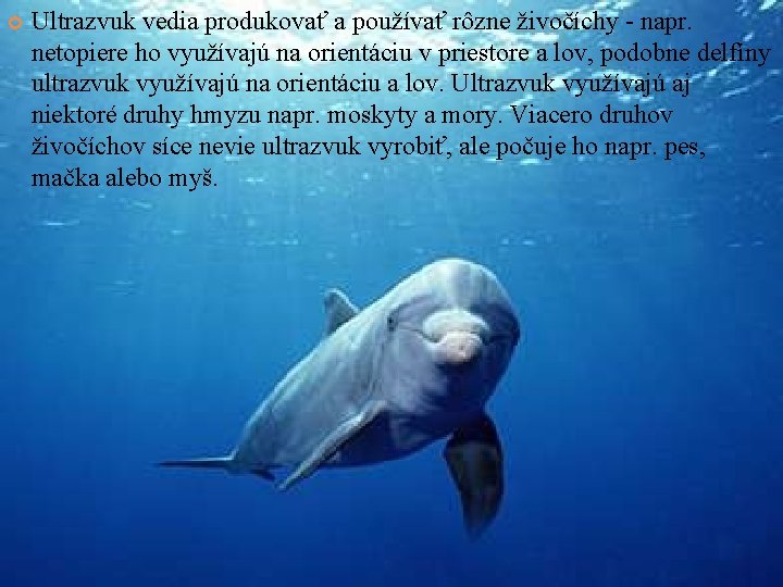  Ultrazvuk vedia produkovať a používať rôzne živočíchy - napr. netopiere ho využívajú na