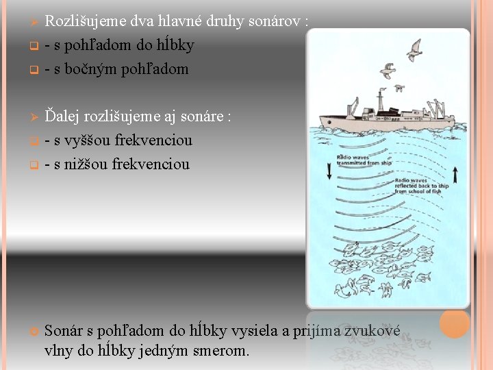 Rozlišujeme dva hlavné druhy sonárov : q - s pohľadom do hĺbky q -