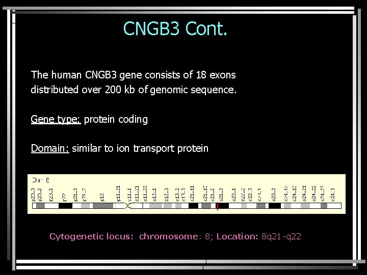 CNGB 3 Cont. The human CNGB 3 gene consists of 18 exons distributed over