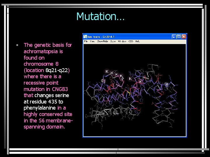 Mutation… • The genetic basis for achromatopsia is found on chromosome 8 (location 8
