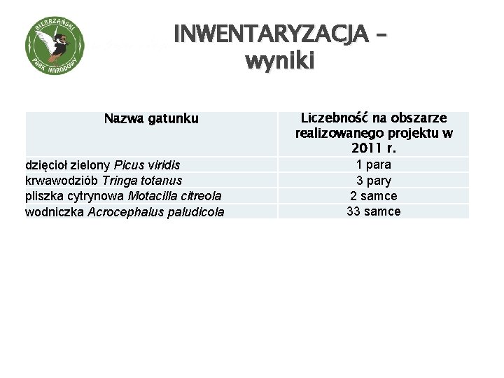 INWENTARYZACJA – wyniki Nazwa gatunku dzięcioł zielony Picus viridis krwawodziób Tringa totanus pliszka cytrynowa