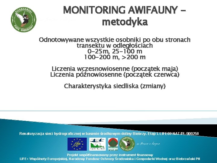 MONITORING AWIFAUNY metodyka Odnotowywane wszystkie osobniki po obu stronach transektu w odległościach 0 -25