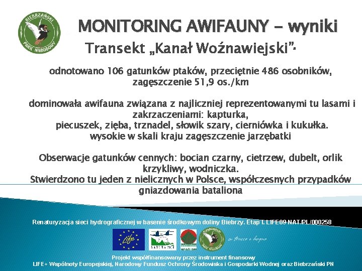 MONITORING AWIFAUNY - wyniki Transekt „Kanał Woźnawiejski”” odnotowano 106 gatunków ptaków, przeciętnie 486 osobników,