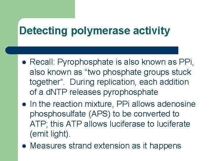 Detecting polymerase activity l l l Recall: Pyrophosphate is also known as PPi, also