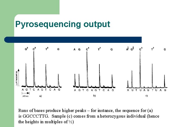 Pyrosequencing output Runs of bases produce higher peaks – for instance, the sequence for