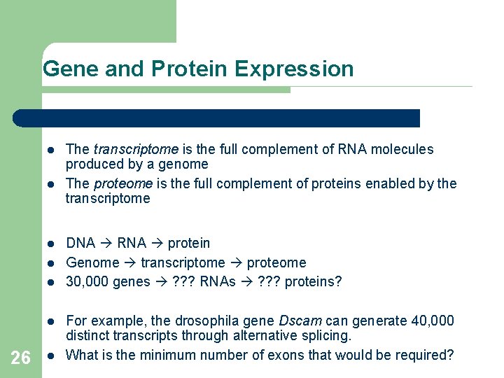 Gene and Protein Expression l l l 26 l The transcriptome is the full