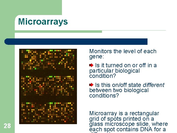 Microarrays Monitors the level of each gene: Is it turned on or off in