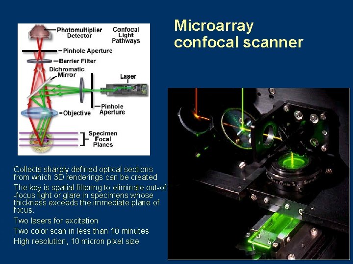 Microarray confocal scanner l l l Collects sharply defined optical sections from which 3