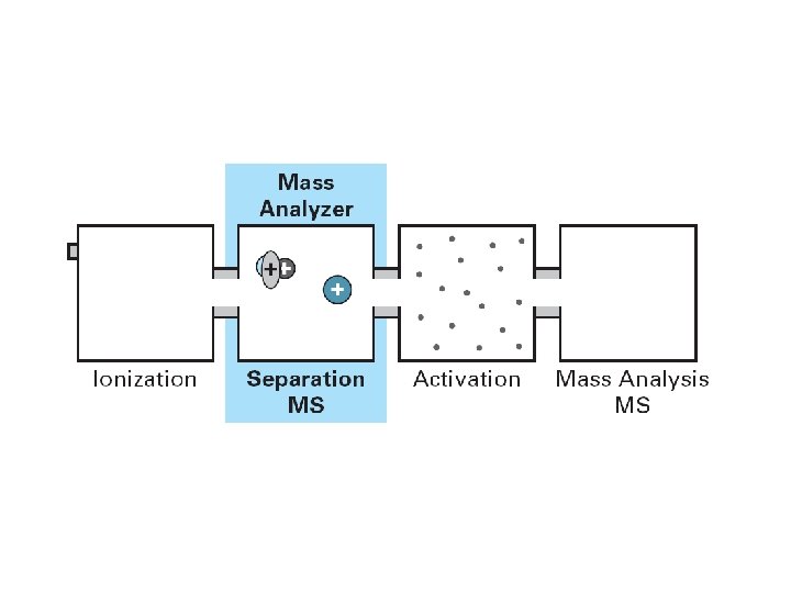 MS/MS Overview 