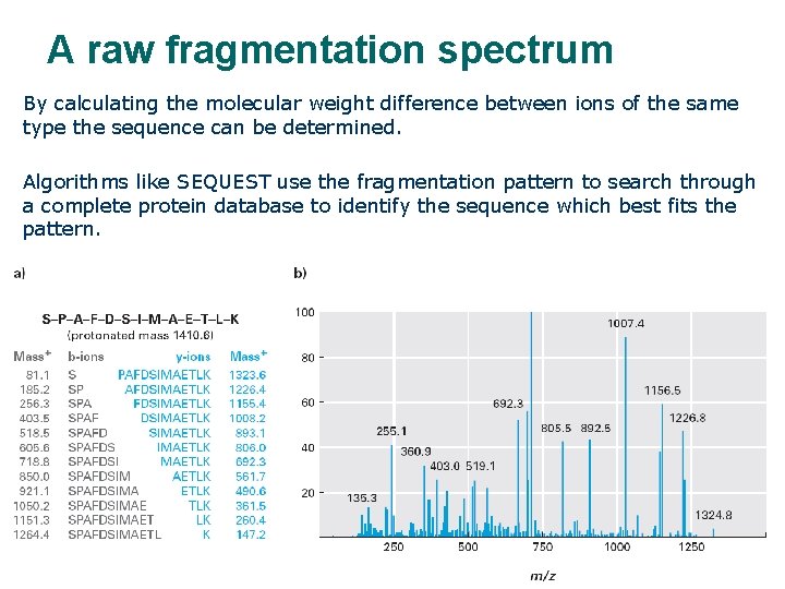 A raw fragmentation spectrum By calculating the molecular weight difference between ions of the