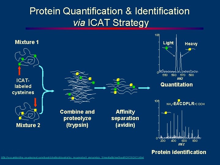 Protein Quantification & Identification via ICAT Strategy 100 Mixture 1 Light 0 ICATlabeled cysteines