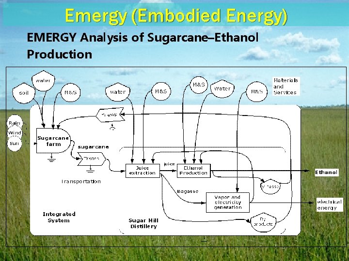 Emergy (Embodied Energy) EMERGY Analysis of Sugarcane–Ethanol Production 