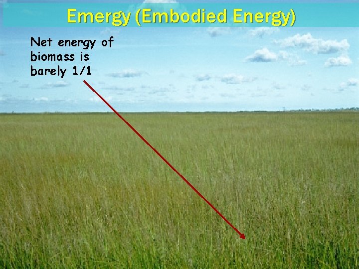 Emergy (Embodied Energy) Net energy of biomass is barely 1/1 