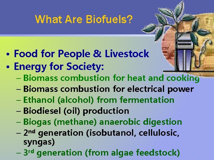 What Are Biofuels? • Food for People & Livestock • Energy for Society: –