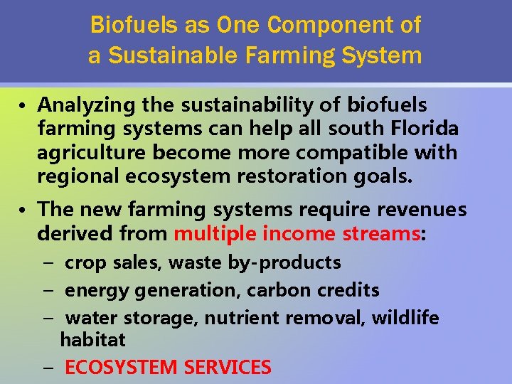 Biofuels as One Component of a Sustainable Farming System • Analyzing the sustainability of