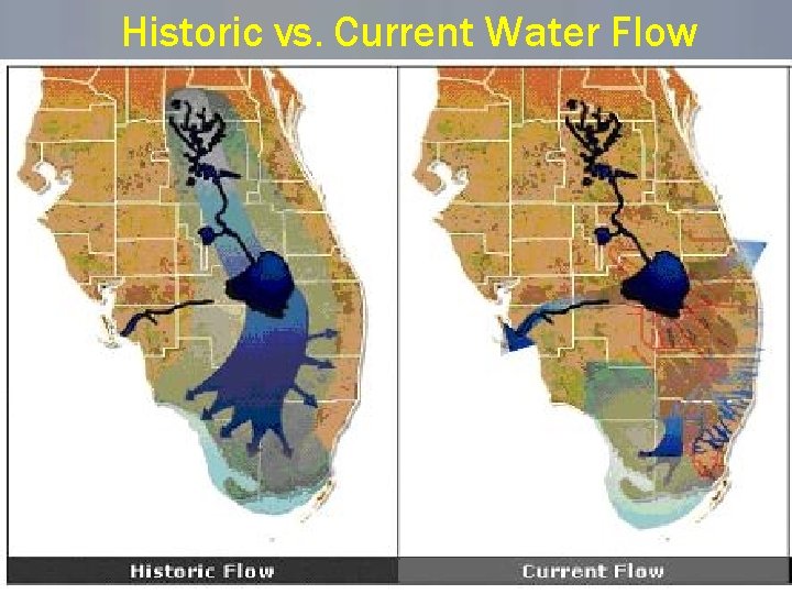 Historic vs. Current Water Flow 