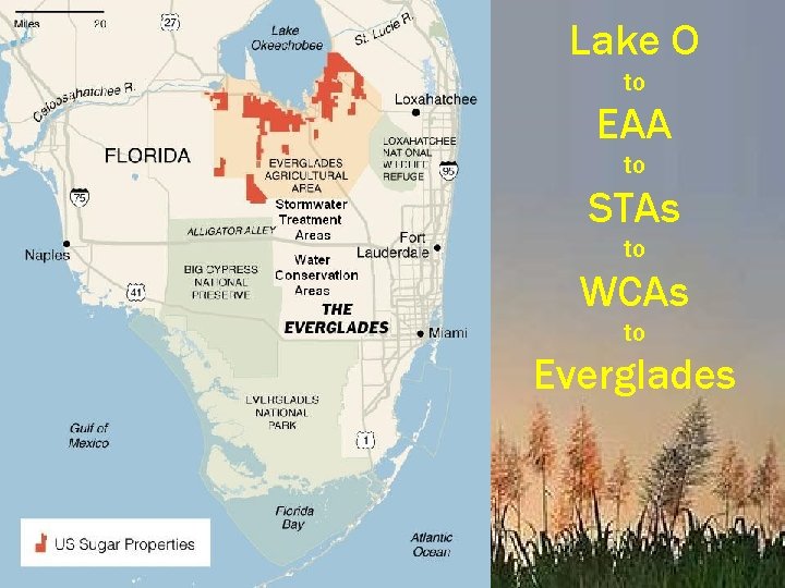 Lake O to EAA to STAs to WCAs to Everglades 