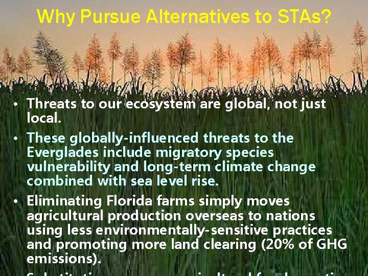 Why Pursue Alternatives to STAs? • Threats to our ecosystem are global, not just