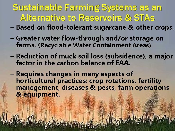 Sustainable Farming Systems as an Alternative to Reservoirs & STAs – Based on flood-tolerant