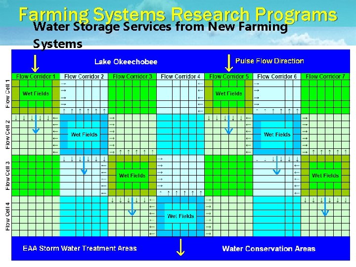 Farming Systems Research Programs Water Storage Services from New Farming Systems 