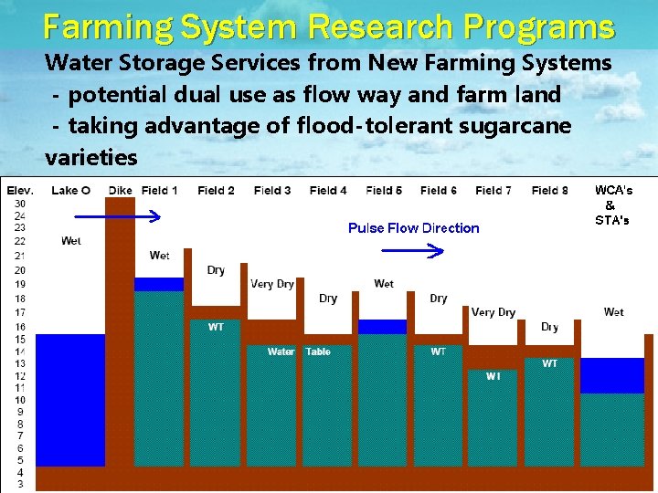 Farming System Research Programs Water Storage Services from New Farming Systems - potential dual