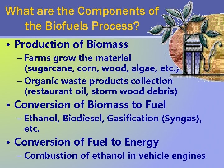 What are the Components of the Biofuels Process? • Production of Biomass – Farms