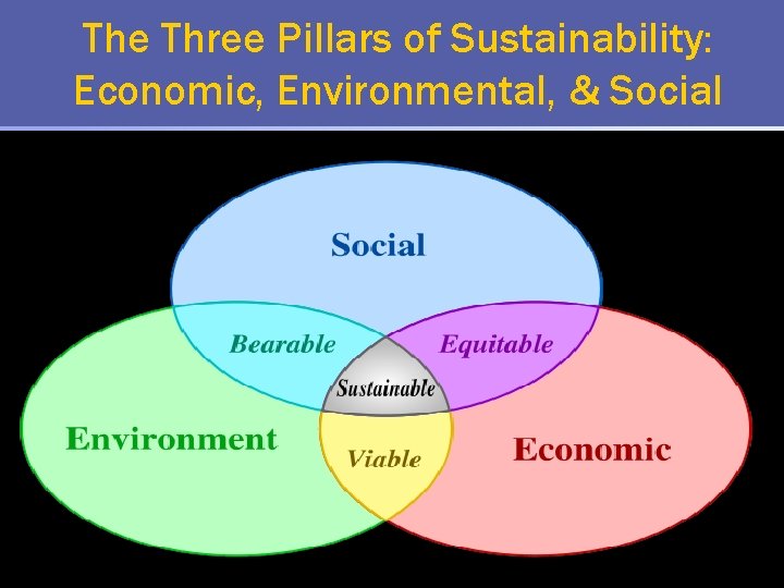 The Three Pillars of Sustainability: Economic, Environmental, & Social 