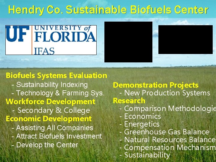 Hendry Co. Sustainable Biofuels Center Biofuels Systems Evaluation - Sustainability Indexing Demonstration Projects -