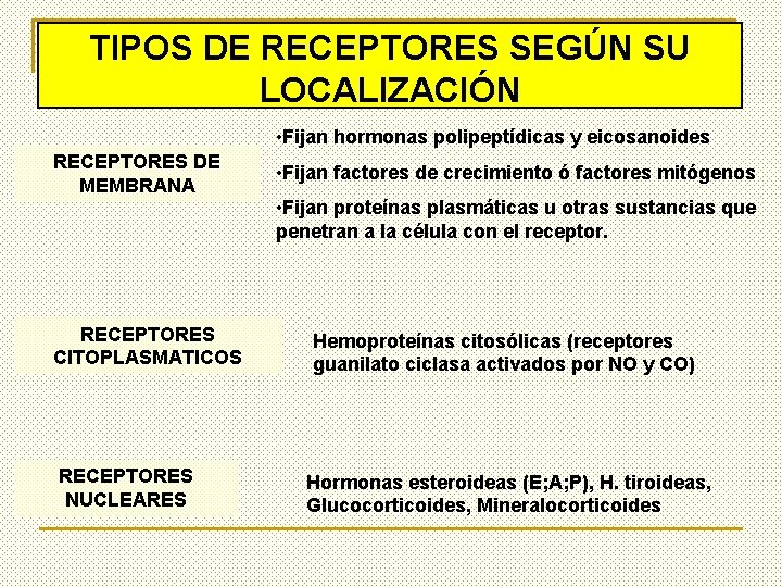 TIPOS DE RECEPTORES SEGÚN SU LOCALIZACIÓN • Fijan hormonas polipeptídicas y eicosanoides RECEPTORES DE