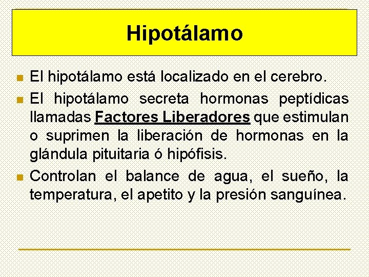 Hipotálamo n n n El hipotálamo está localizado en el cerebro. El hipotálamo secreta