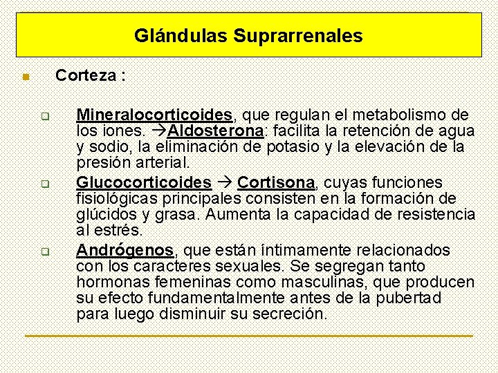 Glándulas Suprarrenales Corteza : n q q q Mineralocorticoides, que regulan el metabolismo de