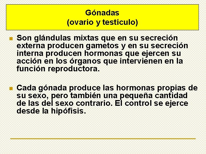 Gónadas (ovario y testículo) n Son glándulas mixtas que en su secreción externa producen