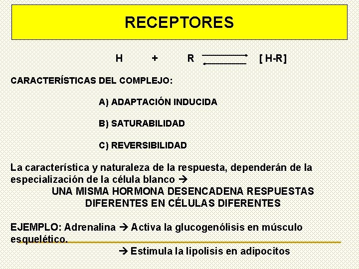 RECEPTORES H + R [ H-R] CARACTERÍSTICAS DEL COMPLEJO: A) ADAPTACIÓN INDUCIDA B) SATURABILIDAD