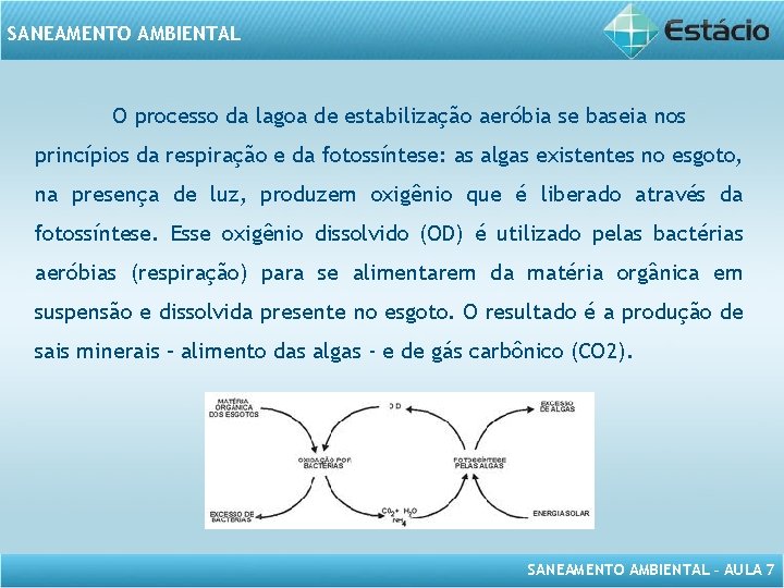 SANEAMENTO AMBIENTAL O processo da lagoa de estabilização aeróbia se baseia nos princípios da