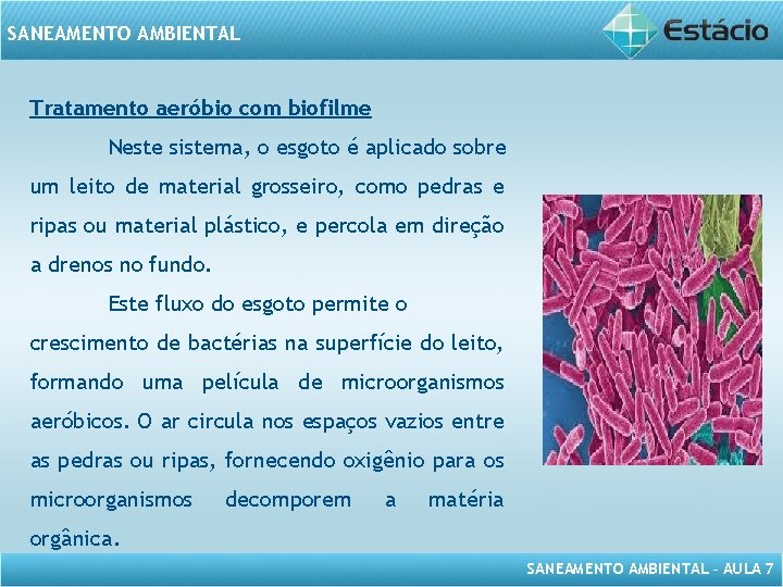 SANEAMENTO AMBIENTAL Tratamento aeróbio com biofilme Neste sistema, o esgoto é aplicado sobre um