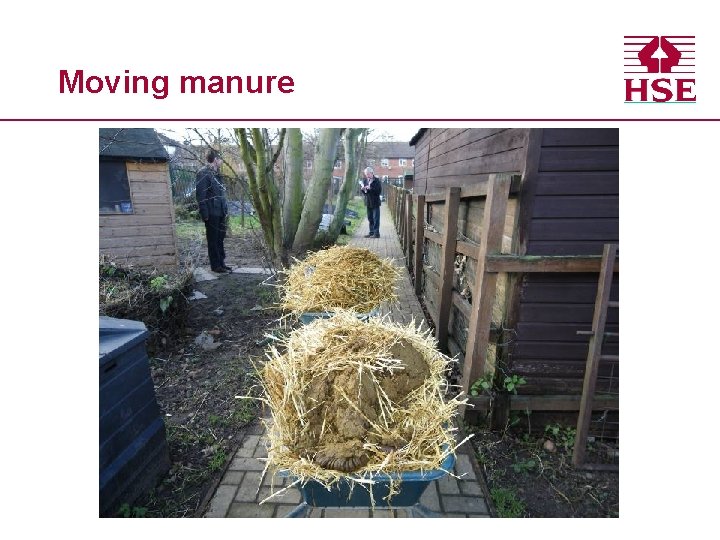Moving manure 