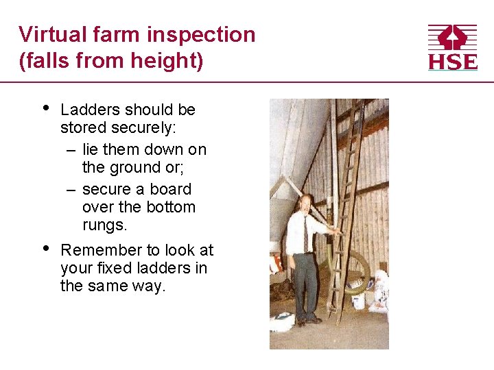 Virtual farm inspection (falls from height) • Ladders should be stored securely: – lie