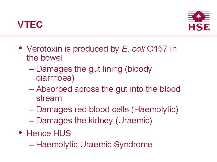 VTEC • Verotoxin is produced by E. coli O 157 in the bowel –