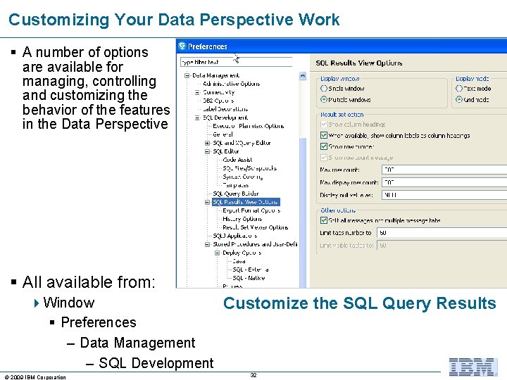 Customizing Your Data Perspective Work § A number of options are available for managing,