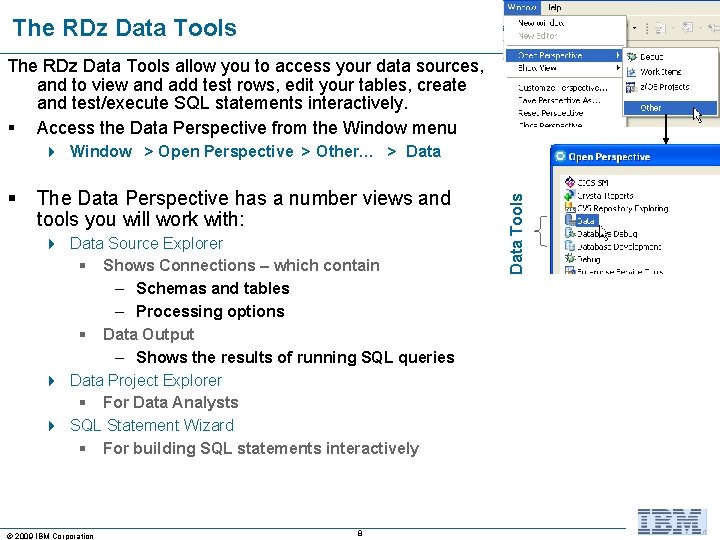 The RDz Data Tools allow you to access your data sources, and to view