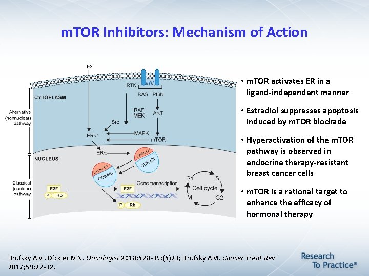 m. TOR Inhibitors: Mechanism of Action • m. TOR activates ER in a ligand-independent m. TOR Inhibitors: Mechanism of Action • m. TOR activates ER in a ligand-independent
