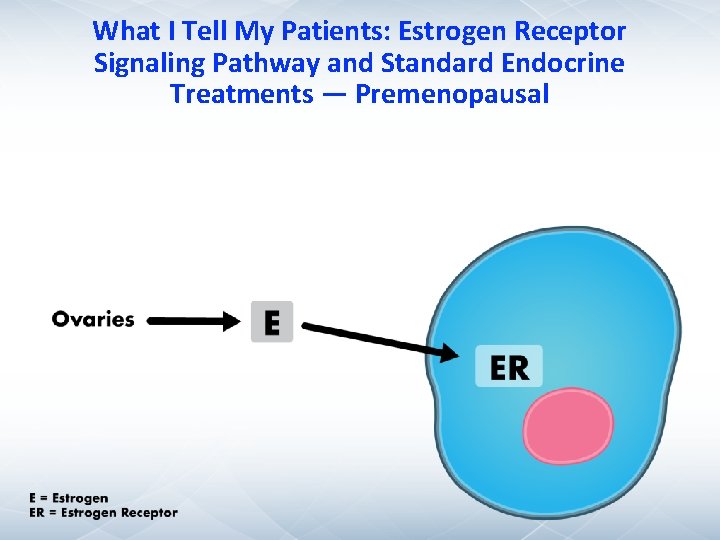 What I Tell My Patients: Estrogen Receptor Signaling Pathway and Standard Endocrine Treatments — What I Tell My Patients: Estrogen Receptor Signaling Pathway and Standard Endocrine Treatments —