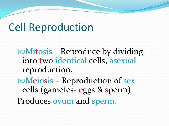 Cell Reproduction Mitosis – Reproduce by dividing into two identical cells, asexual reproduction. Meiosis