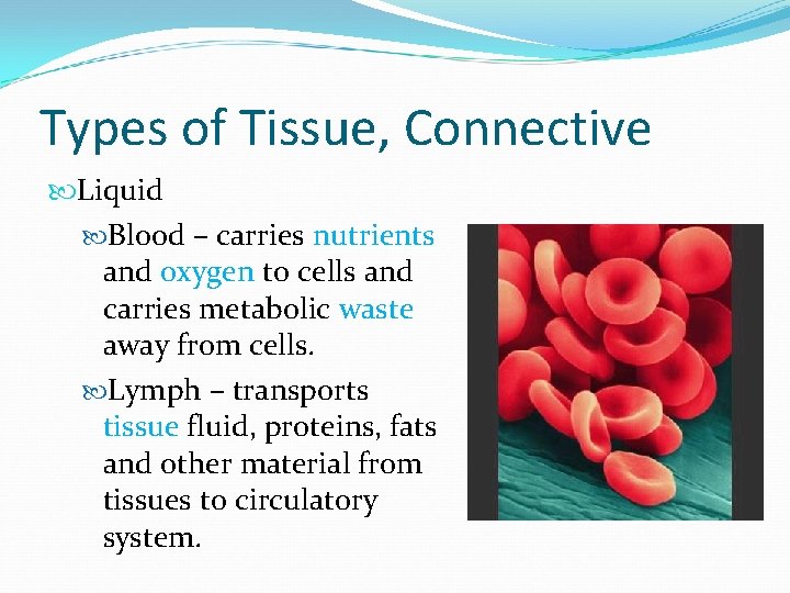 Types of Tissue, Connective Liquid Blood – carries nutrients and oxygen to cells and