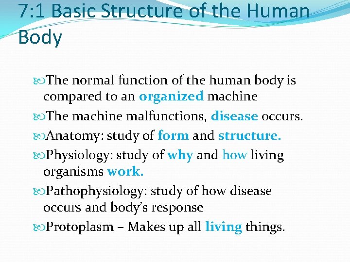 7: 1 Basic Structure of the Human Body The normal function of the human
