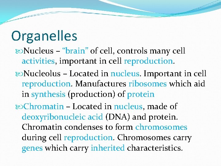 Organelles Nucleus – “brain” of cell, controls many cell activities, important in cell reproduction.