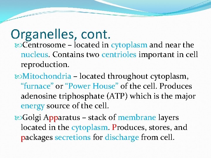 Organelles, cont. Centrosome – located in cytoplasm and near the nucleus. Contains two centrioles